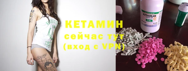 индика Нягань