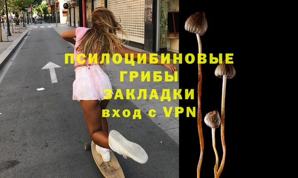 спайс Алексеевка