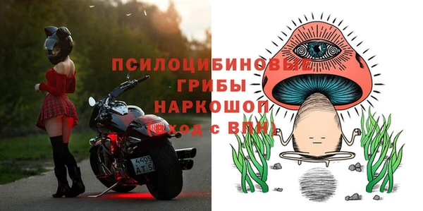 Альфа ПВП Алзамай